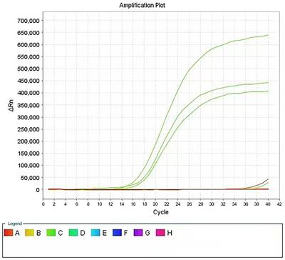 A new method for the rapid detection of the antibacterial and bacteriostatic activity of disinfectants based on Propidium Monoazide combined with real-time PCR